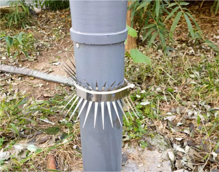Chống đột biến chuột: Rào cản vật lý để phòng ngừa ý thức sinh thái