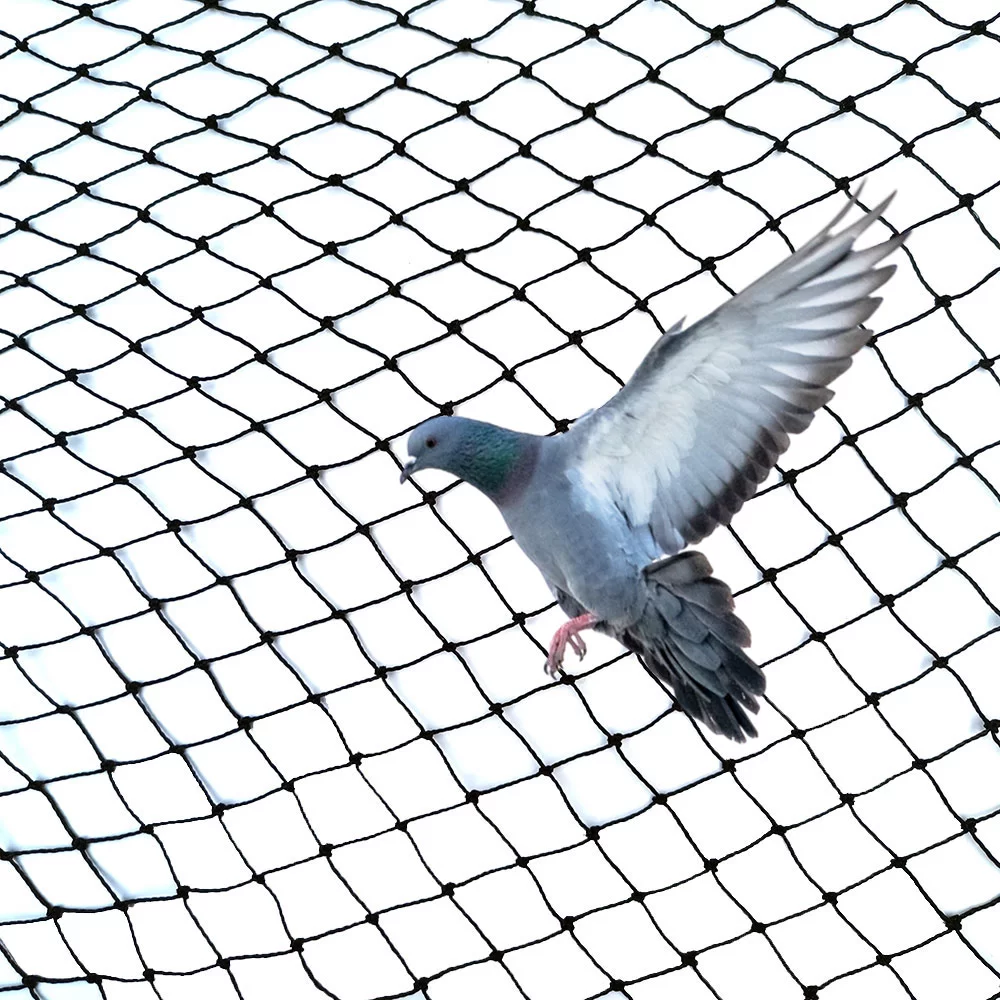 Netting Netting